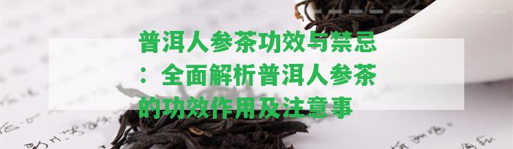 普洱人參茶功效與禁忌：全面解析普洱人參茶的功效作用及留意事