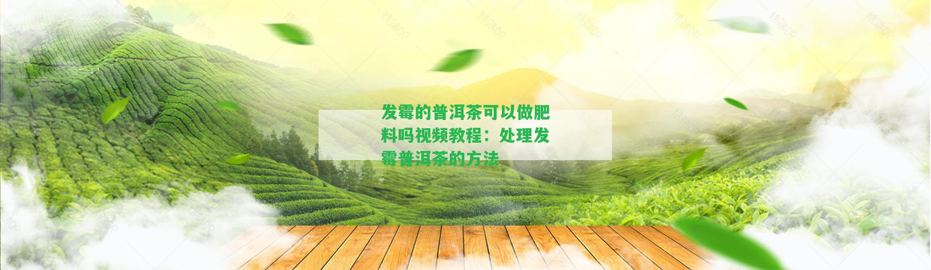 發(fā)霉的普洱茶可以做肥料嗎視頻教程：解決發(fā)霉普洱茶的方法