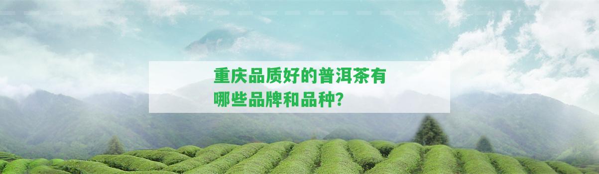 重慶品質(zhì)好的普洱茶有哪些品牌和品種？