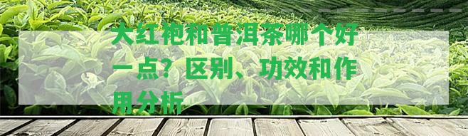 大紅袍和普洱茶哪個(gè)好一點(diǎn)？區(qū)別、功效和作用分析