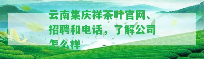 云南集慶祥茶葉官網(wǎng)、招聘和電話，熟悉公司怎么樣