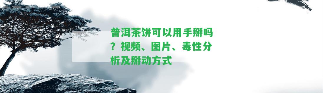 普洱茶餅可以用手掰嗎？視頻、圖片、毒性分析及掰動(dòng)方法