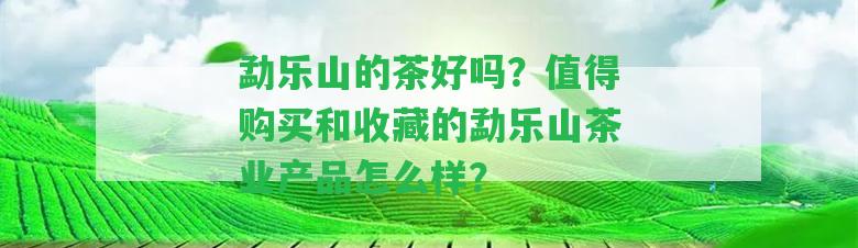 勐樂(lè)山的茶好嗎？值得購(gòu)買和收藏的勐樂(lè)山茶業(yè)產(chǎn)品怎么樣？