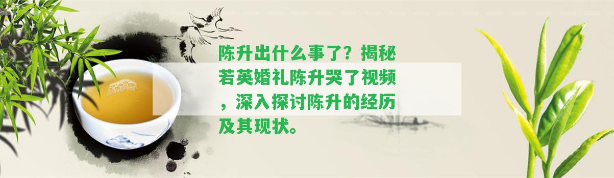 陳升出什么事了？揭秘若英婚禮陳升哭了視頻，深入探討陳升的經(jīng)歷及其現(xiàn)狀。