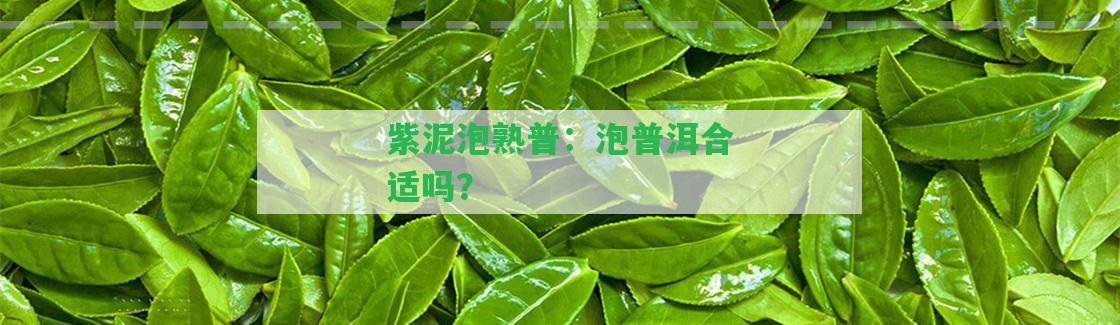 紫泥泡熟普：泡普洱合適嗎？