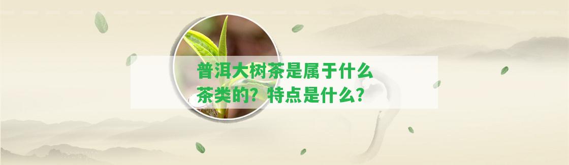 普洱大樹茶是屬于什么茶類的？特點是什么？