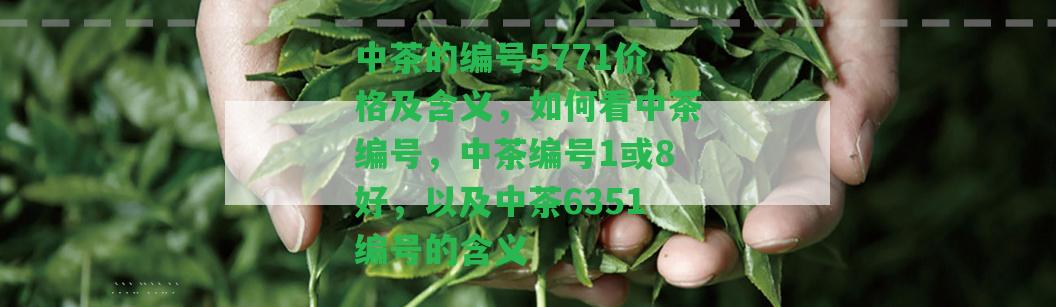 中茶的編號(hào)5771價(jià)格及含義，怎樣看中茶編號(hào)，中茶編號(hào)1或8好，以及中茶6351編號(hào)的含義