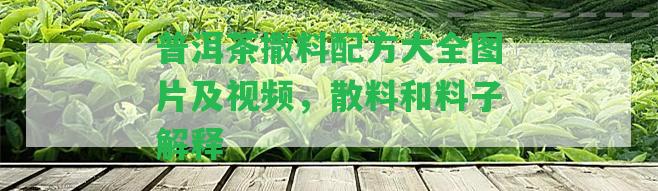 普洱茶撒料配方大全圖片及視頻，散料和料子解釋