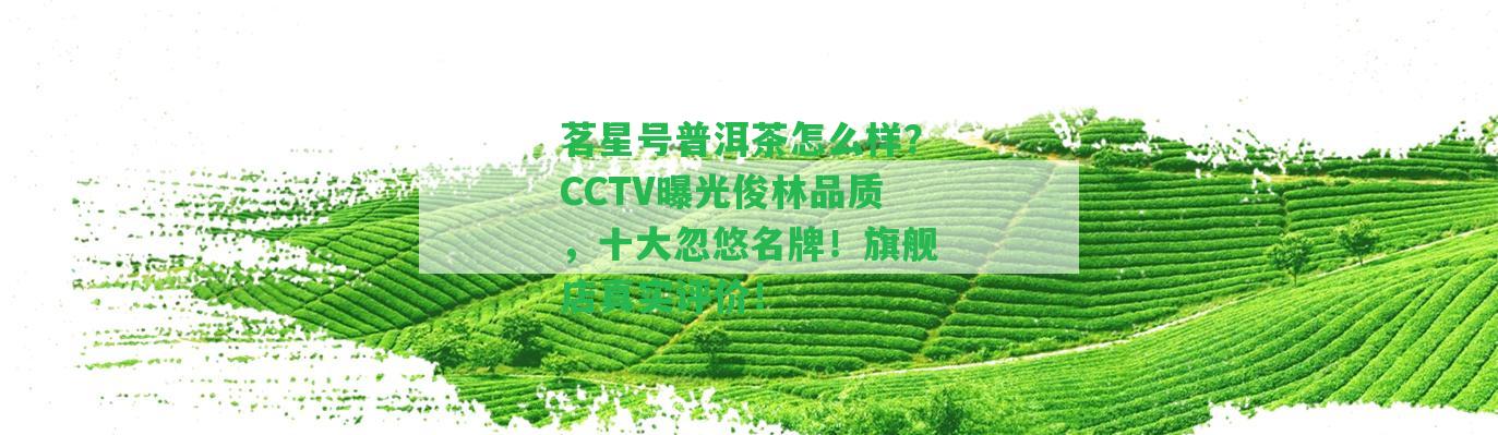 茗星號(hào)普洱茶怎么樣？CCTV曝光俊林品質(zhì)，十大忽悠名牌！旗艦店真實(shí)評(píng)價(jià)！