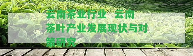 云南茶業(yè)行業(yè)  云南茶葉產(chǎn)業(yè)發(fā)展現(xiàn)狀與對策研究