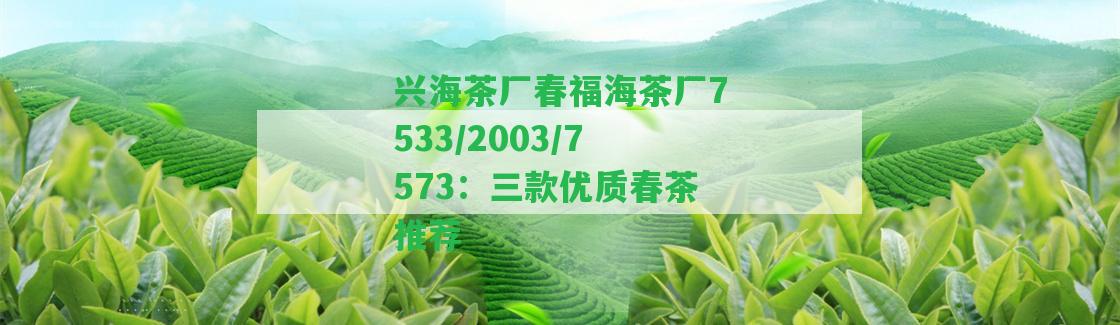 興海茶廠春福海茶廠7533/2003/7573：三款優(yōu)質(zhì)春茶推薦