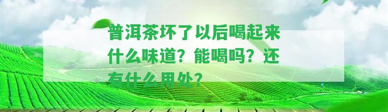 普洱茶壞了以后喝起來什么味道？能喝嗎？還有什么用處？