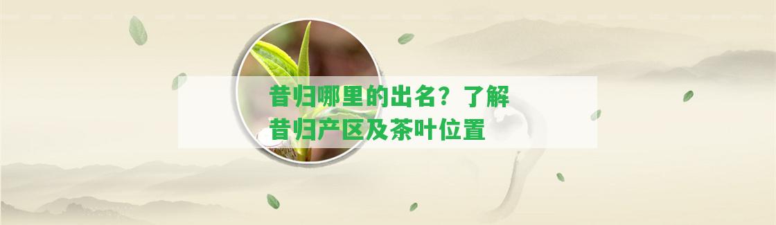 昔歸哪里的出名？熟悉昔歸產(chǎn)區(qū)及茶葉位置