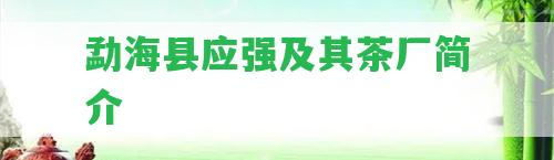 勐海縣應強及其茶廠簡介