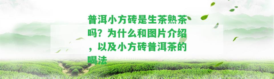 普洱小方磚是生茶熟茶嗎？為什么和圖片介紹，以及小方磚普洱茶的喝法