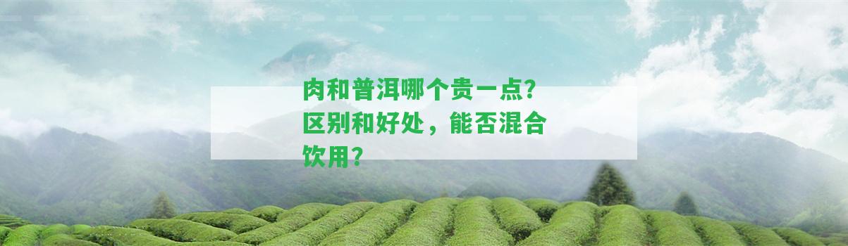 肉和普洱哪個(gè)貴一點(diǎn)？區(qū)別和好處，能否混合飲用？