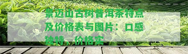 景邁山古樹普洱茶特點及價格表與圖片：口感特別，價格實