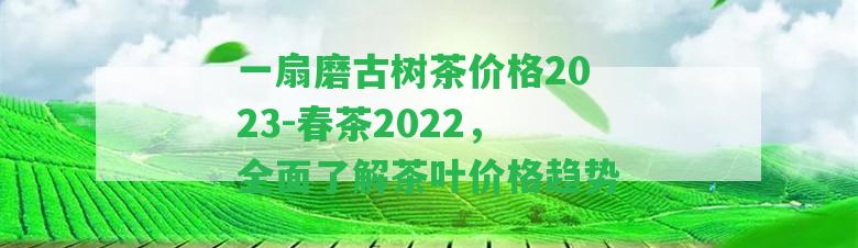 一扇磨古樹茶價格2023-春茶2022，全面熟悉茶葉價格趨勢