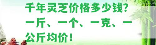 千年靈芝價(jià)格多少錢？一斤、一個(gè)、一克、一公斤均價(jià)！