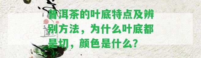 普洱茶的葉底特點(diǎn)及辨別方法，為什么葉底都是切，顏色是什么？