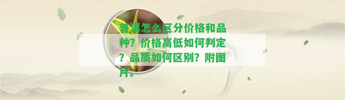 普洱怎么區(qū)分價格和品種？價格高低怎樣判定？品質(zhì)怎樣區(qū)別？附圖片。