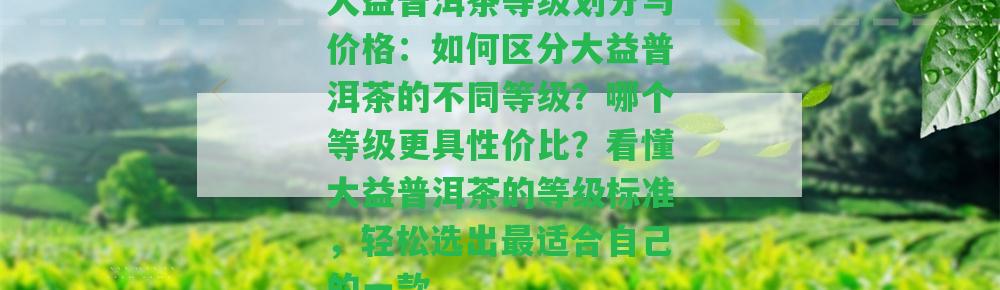 大益普洱茶等級劃分與價格：怎樣區(qū)分大益普洱茶的不同等級？哪個等級更具性價比？看懂大益普洱茶的等級標(biāo)準(zhǔn)，輕松選出最適合本人的一款。