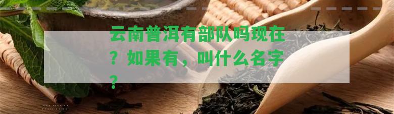 云南普洱有部隊(duì)嗎現(xiàn)在？假如有，叫什么名字？