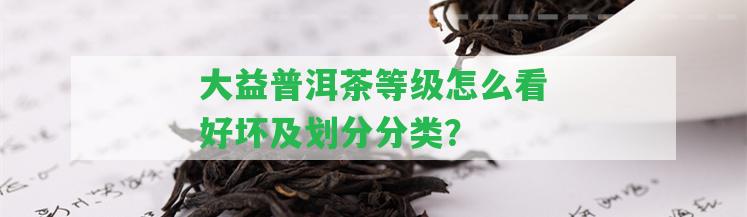 大益普洱茶等級(jí)怎么看好壞及劃分分類？