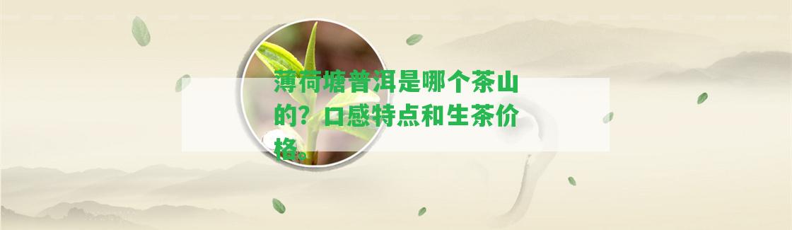 薄荷塘普洱是哪個茶山的？口感特點和生茶價格。