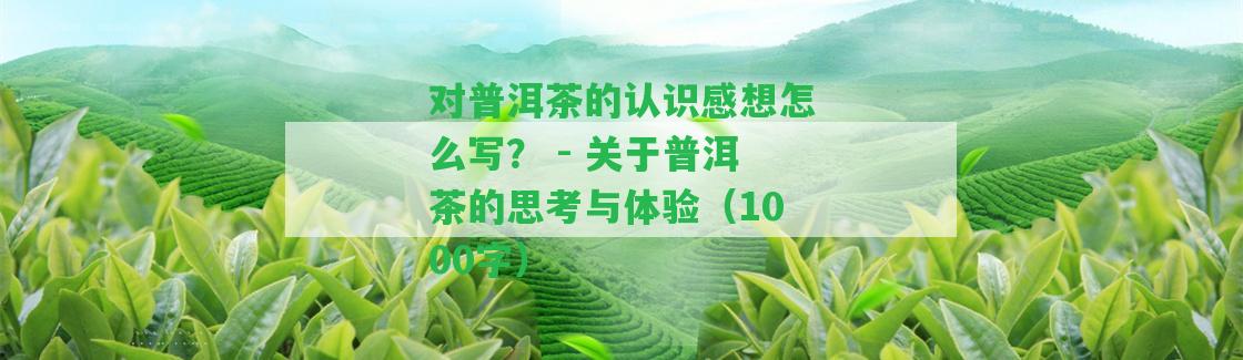 對普洱茶的認識感想怎么寫？ - 關于普洱茶的思考與體驗（1000字）