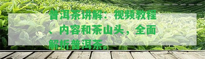 普洱茶講解：視頻教程、內(nèi)容和茶山頭，全面解析普洱茶。