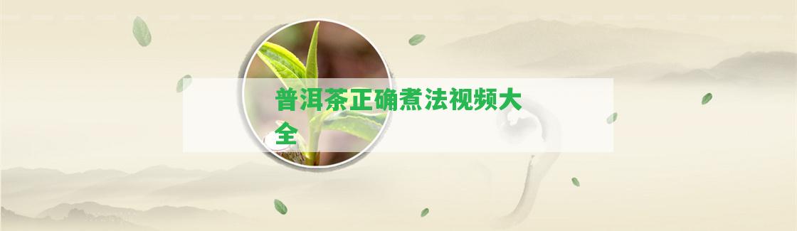 普洱茶正確煮法視頻大全