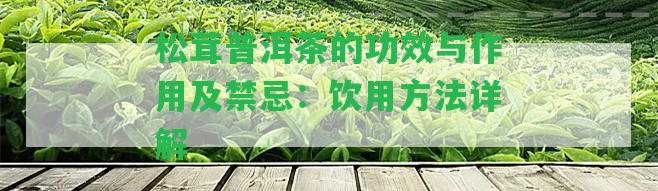 松茸普洱茶的功效與作用及禁忌：飲用方法詳解