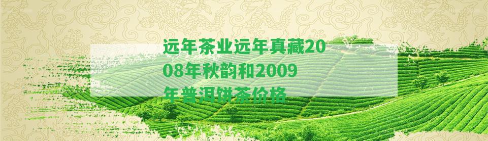 遠(yuǎn)年茶業(yè)遠(yuǎn)年真藏2008年秋韻和2009年普洱餅茶價(jià)格