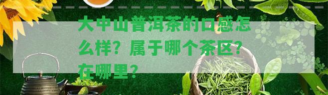 大中山普洱茶的口感怎么樣？屬于哪個茶區(qū)？在哪里？