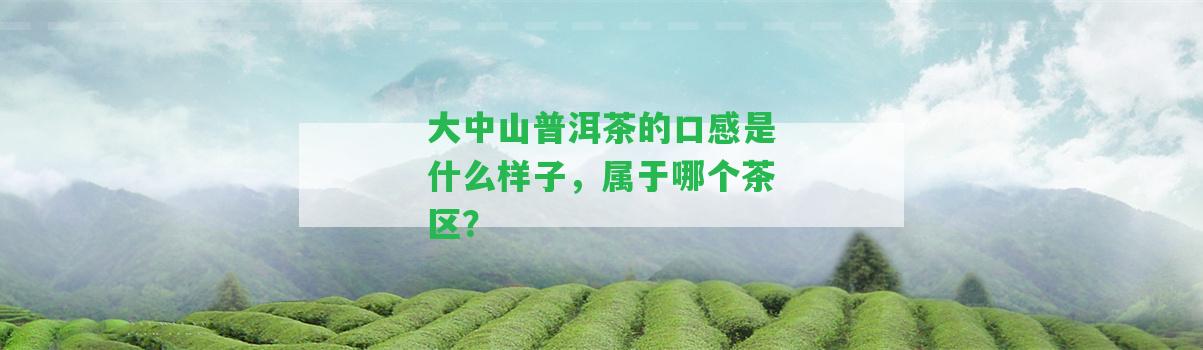 大中山普洱茶的口感是什么樣子，屬于哪個茶區(qū)？