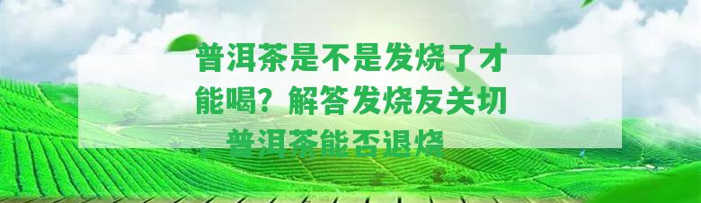 普洱茶是不是發(fā)燒了才能喝？解答發(fā)燒友關(guān)切，普洱茶能否退燒