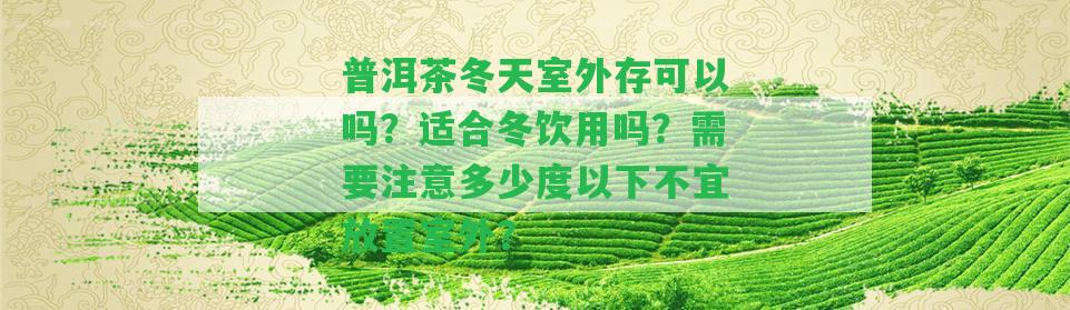 普洱茶冬天室外存可以嗎？適合冬飲用嗎？需要留意多少度以下不宜放置室外？