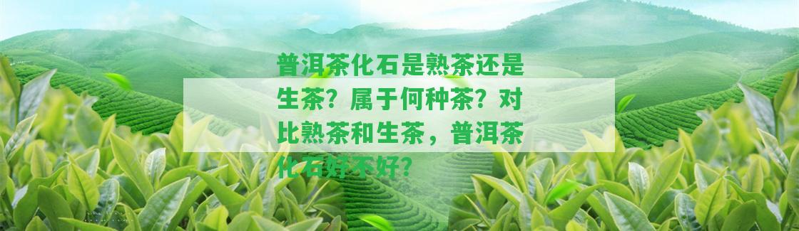 普洱茶化石是熟茶還是生茶？屬于何種茶？對比熟茶和生茶，普洱茶化石好不好？