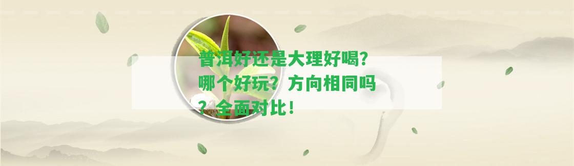 普洱好還是大理好喝？哪個(gè)好玩？方向相同嗎？全面對(duì)比！