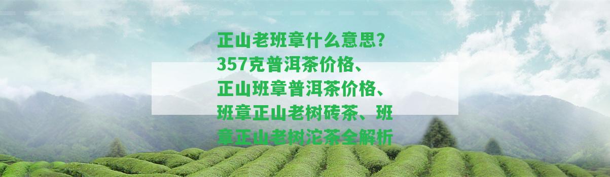 正山老班章什么意思？357克普洱茶價格、正山班章普洱茶價格、班章正山老樹磚茶、班章正山老樹沱茶全解析