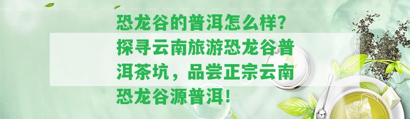 恐龍谷的普洱怎么樣？探尋云南旅游恐龍谷普洱茶坑，品嘗正宗云南恐龍谷源普洱！