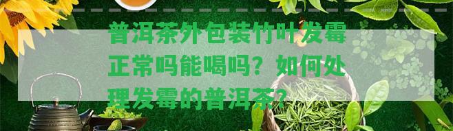 普洱茶外包裝竹葉發(fā)霉正常嗎能喝嗎？怎樣解決發(fā)霉的普洱茶？