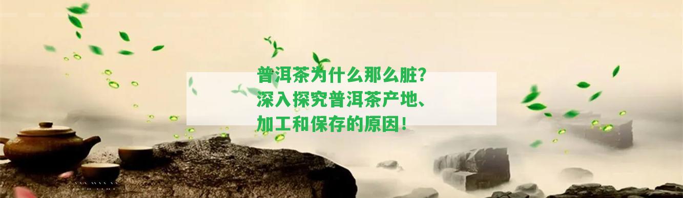 普洱茶為什么那么臟？深入探究普洱茶產(chǎn)地、加工和保存的起因！