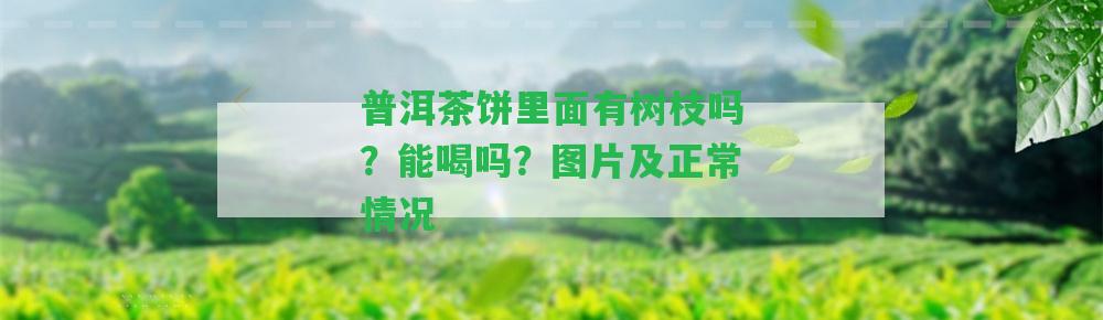 普洱茶餅里面有樹枝嗎？能喝嗎？圖片及正常情況