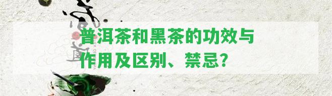 普洱茶和黑茶的功效與作用及區(qū)別、禁忌？