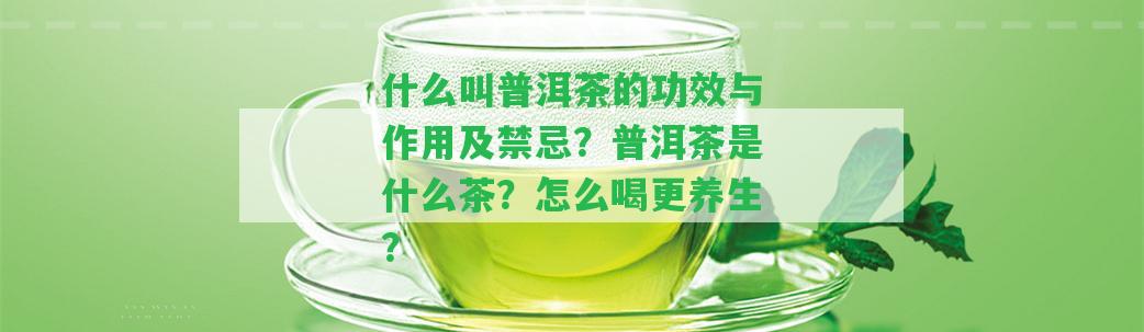 什么叫普洱茶的功效與作用及禁忌？普洱茶是什么茶？怎么喝更養(yǎng)生？