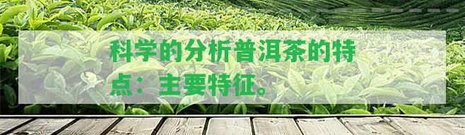 科學(xué)的分析普洱茶的特點(diǎn)：主要特征。