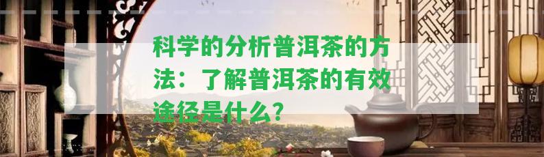 科學(xué)的分析普洱茶的方法：熟悉普洱茶的有效途徑是什么？