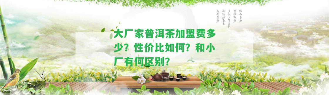 大廠家普洱茶加盟費多少？性價比怎樣？和小廠有何區(qū)別？